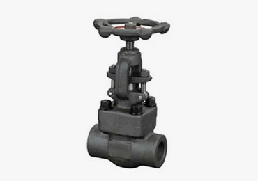 Alloy Steel Forged Gate Valve