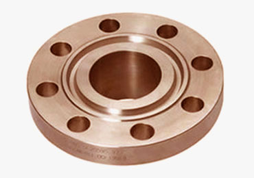 Copper Nickel 70/30 Ring Type Joint Flange