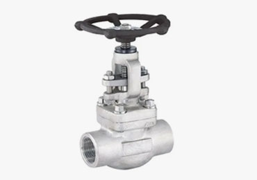 Stainless Steel Forged Globe Valve